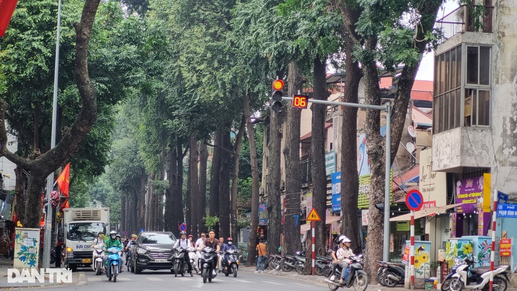 Sau nghi vấn bức tử sao đen, 1.000 hộ dân cam kết không xâm hại cây - 3 Sau nghi vấn bức tử sao đen, 1.000 hộ dân cam kết không xâm hại cây - 3