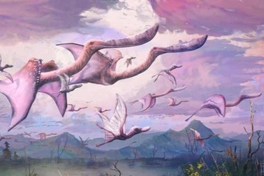 Đáng sợ quái vật vừa nở ra đã biết bay và thành "sát thủ"