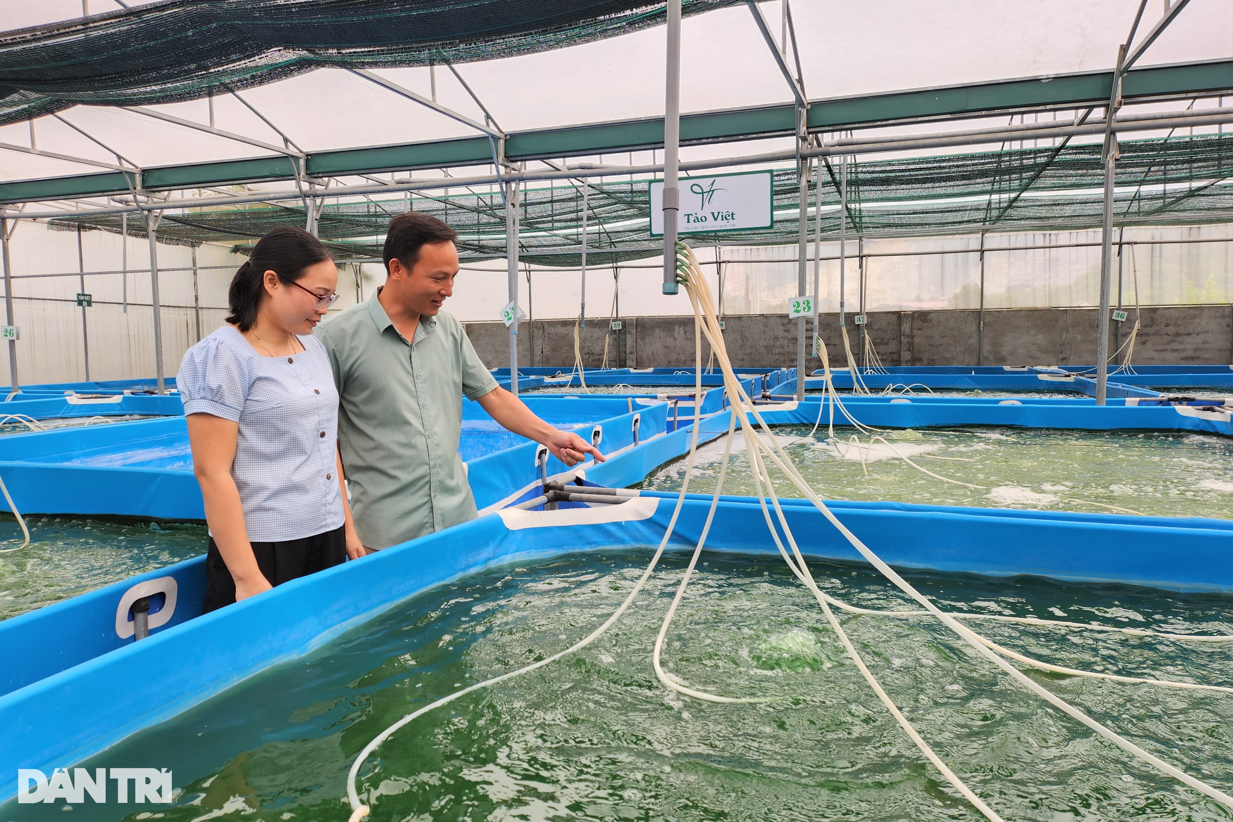 Vợ chồng giáo viên bỏ nghề về làm giàu từ loại không phải cho ăn gì - 2 Vợ chồng giáo viên bỏ nghề về làm giàu từ loại không phải cho ăn gì - 2