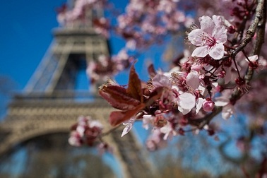 Vẻ đẹp mùa xuân trên khắp thế giới