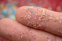 Vi nhựa có thể xâm nhập sâu vào mô xương gây ảnh hưởng đến sức khỏe ra sao