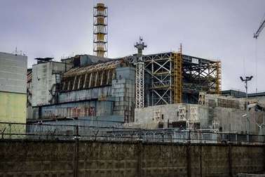 Nấm ăn bức xạ được tìm thấy trong lò phản ứng hạt nhân Chernobyl