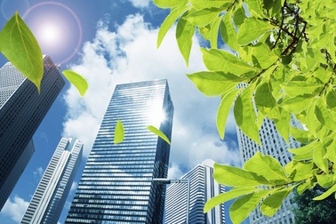 Biệt thự sinh thái: Nhà giàu toàn mua hàng "lởm"