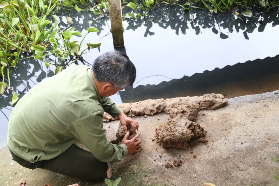 Nuôi con “chân vịt, thịt gà, da trâu, đầu rắn” thu tiền tỷ mỗi năm ở Sơn La - 3