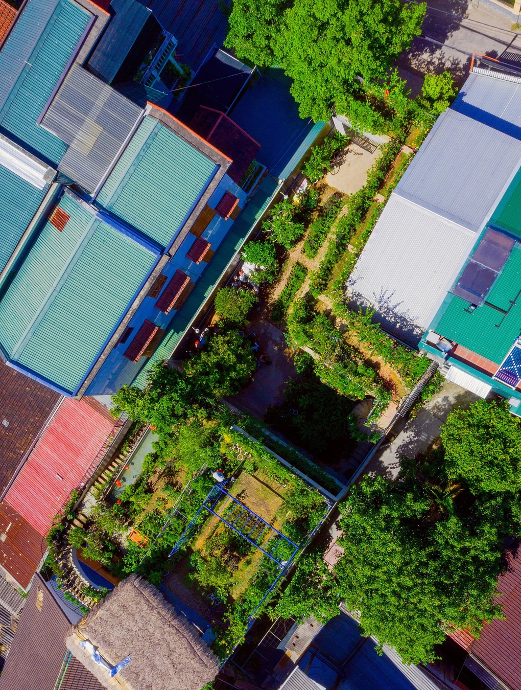 Ông bố khùng đưa bể bơi, vườn cây lên mái nhà 250m2 thay cho máy điều hòa - 6 Ông bố khùng đưa bể bơi, vườn cây lên mái nhà 250m2 thay cho máy điều hòa - 6