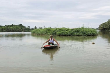 Chủ đầm tôm lo trắng tay lần thứ 2 trong năm vì bão Bualoi sắp đổ bộ