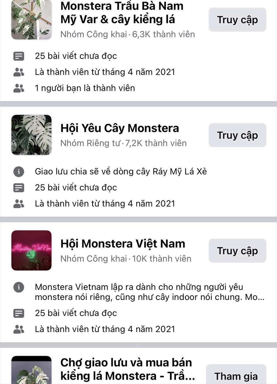 Sau lan đột biến, trầu bà hét giá tiền tỷ: Chuyên gia lên tiếng cảnh báo - 2 Sau lan đột biến, trầu bà hét giá tiền tỷ: Chuyên gia lên tiếng cảnh báo - 2