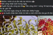 Kiếm việc làm tại nhà trong dịch Covid-19, "dở khóc, dở cười" vì...bị lừa