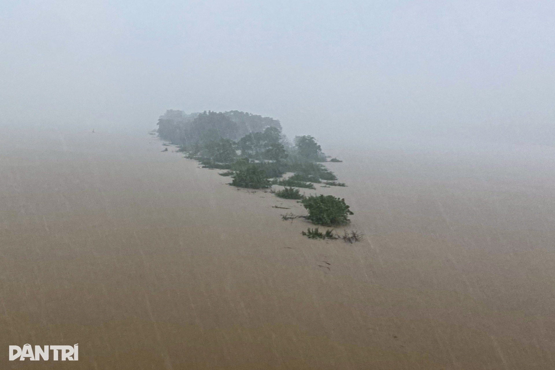 Nước sông Hồng lên cao, cô lập bãi giữa, ngập trắng hoa màu - 1