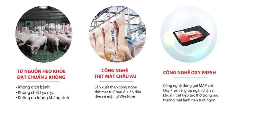 Nhiều dư địa tăng trưởng cho thị trường thịt mát tại Việt Nam - 1 Nhiều dư địa tăng trưởng cho thị trường thịt mát tại Việt Nam - 1