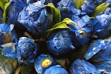 Nổi "điên" khi nhận hoa đặt qua mạng