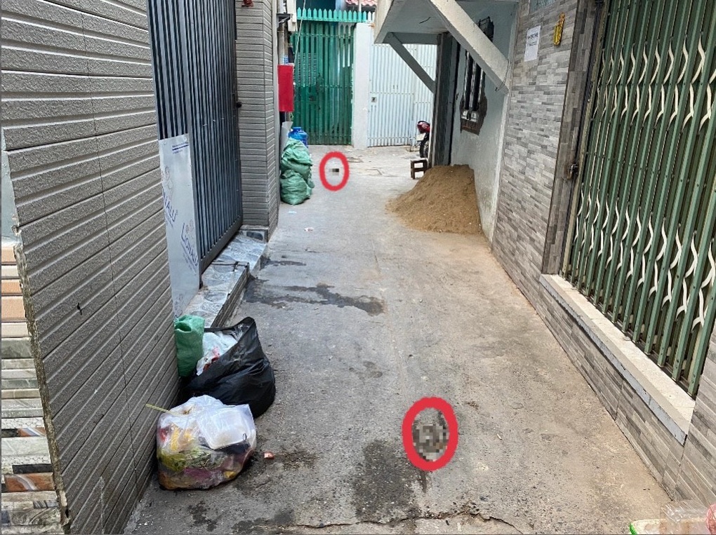Nỗi khổ sống cùng xú uế của người dân ở con hẻm chó thả rông - 1 Nỗi khổ sống cùng xú uế của người dân ở con hẻm chó thả rông - 1