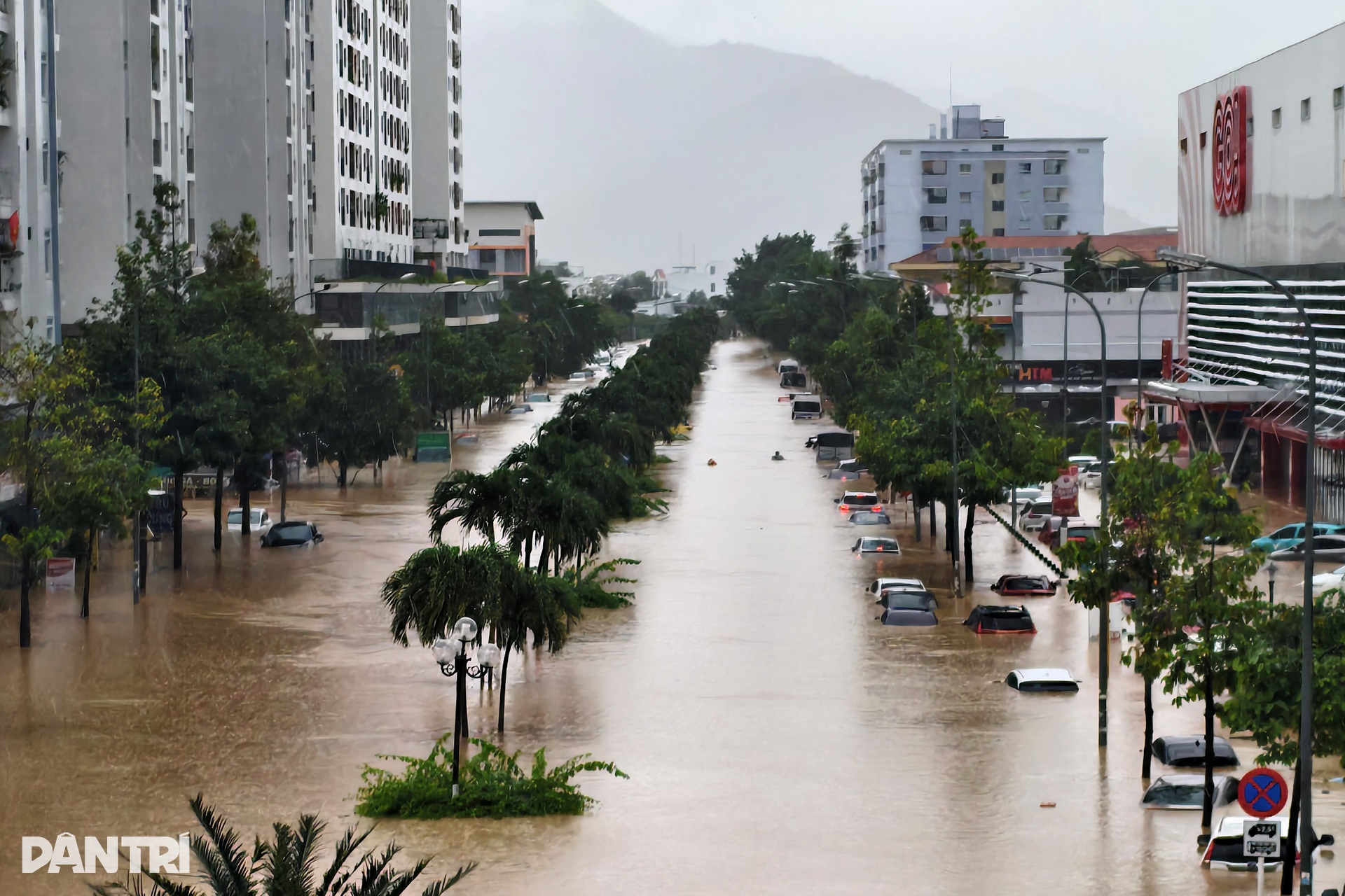Cứu ô tô, xe máy ở Nha Trang sau lũ rút - 1 Cứu ô tô, xe máy ở Nha Trang sau lũ rút - 1
