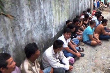 Xoá sổ 2 trường gà ở vùng ven Sài Gòn