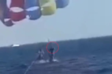 Kinh hoàng khoảnh khắc người chơi dù lượn bị cá mập lao lên tấn công