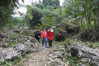 Đáng thương cô bé lớp 8 mỗi ngày vượt 18 km đường rừng để đến trường