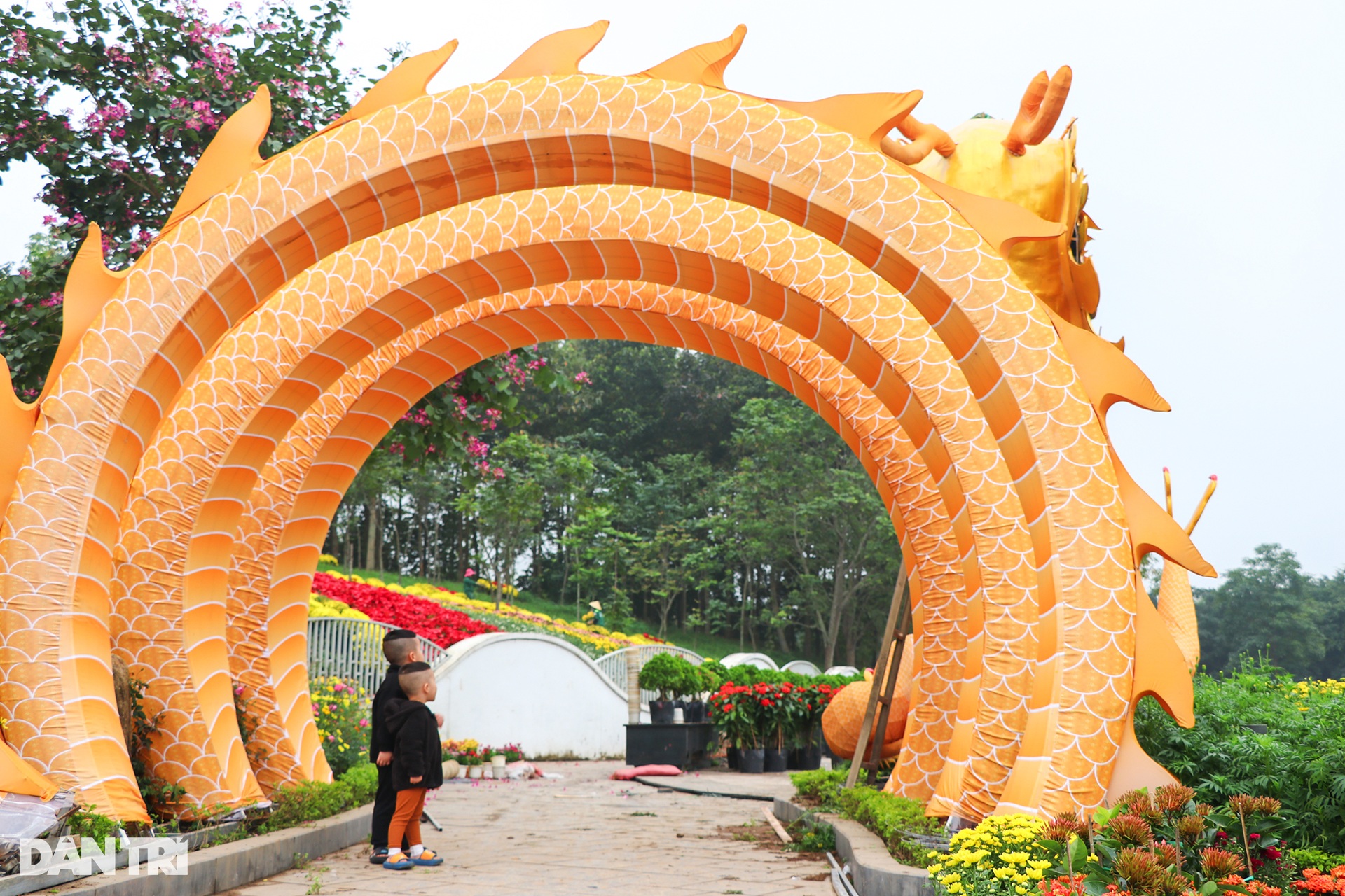 Linh vật rồng Nghệ An vừa trình làng, nhận vô số lời khen - 5 Linh vật rồng Nghệ An vừa trình làng, nhận vô số lời khen - 5