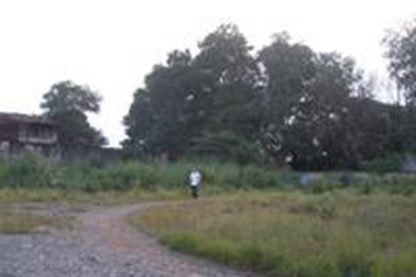 Nữ sinh hoảng hốt vì những kẻ biến thái