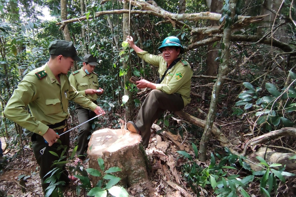 Giao khoán diện tích rừng bị lâm tặc phá cho cộng đồng làng Đê Kôn quản lý - 2 Giao khoán diện tích rừng bị lâm tặc phá cho cộng đồng làng Đê Kôn quản lý - 2