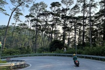 Hai cô gái bị nhóm thanh niên chặn đường, xâm hại tình dục trên đèo Tam Đảo