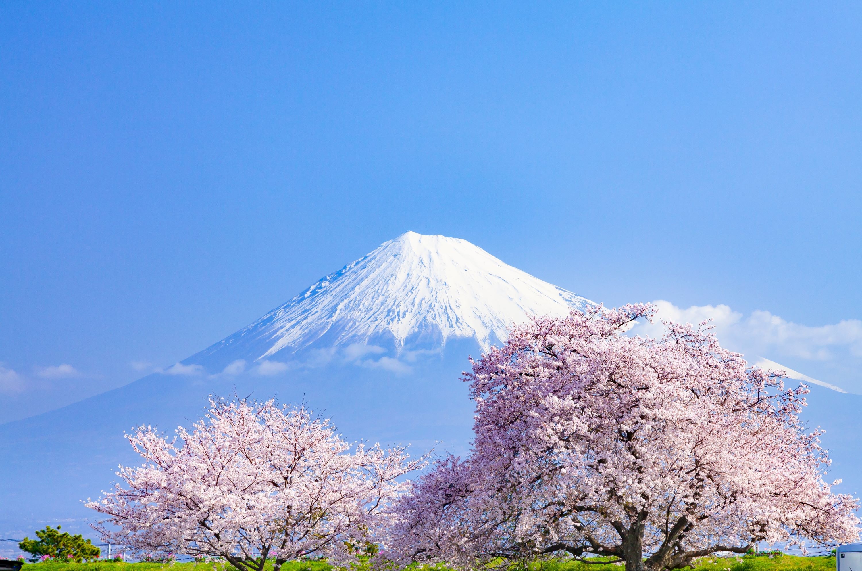 Fuji Mt, Japan.jpg Fuji Mt, Japan.jpg