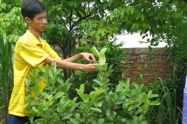 Miễn học phí cho thủ khoa Nguyễn Huỳnh Nhật Dương