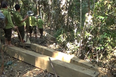 Truy quét một vụ phá rừng nghiêm trọng, thu 20 m3 gỗ "vô chủ"