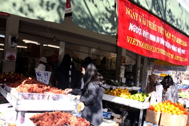 Mồ hôi đắng trên trái vải vào Australia