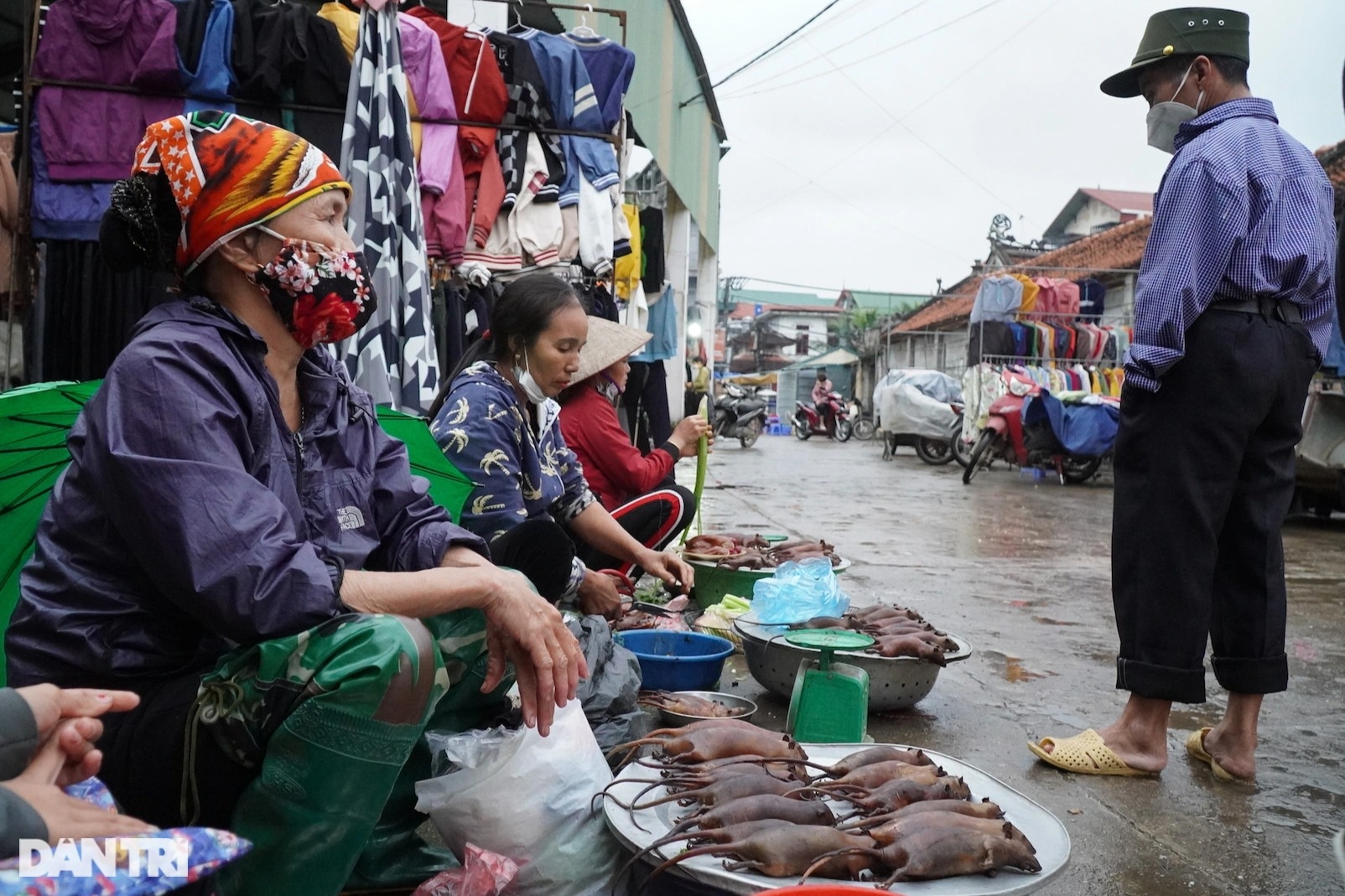 Tấp nập tìm mua con phá hoại về làm mồi nhậu ở ngoại thành Hà Nội - 1