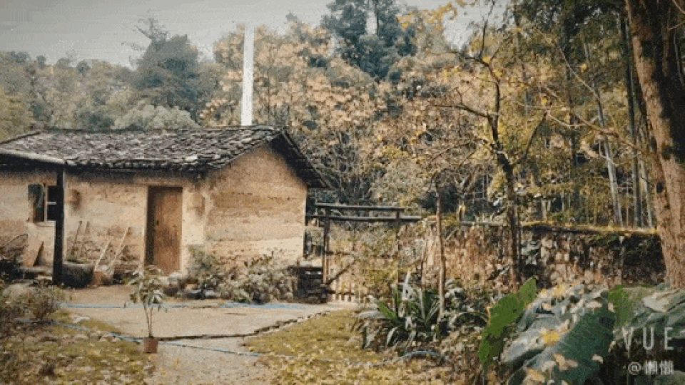 Chán cuộc sống phố thị, cô gái lên núi làm căn nhà nhỏ ngập hoa lá - 8