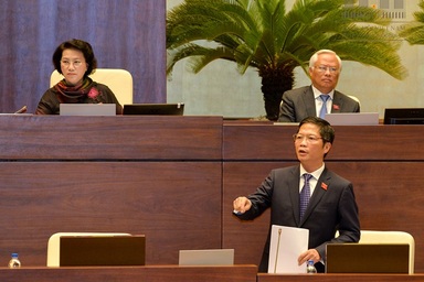 Đại biểu Quốc hội: Có hay không lợi ích nhóm tại dự án thép Cà Ná?