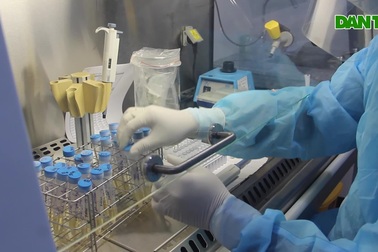 “Chạy đua với thời gian” truy tìm virus SARS-CoV-2