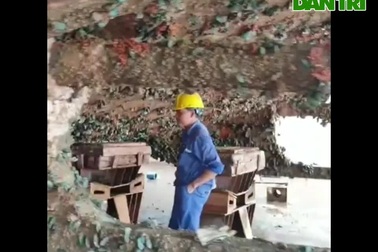 Sởn gai ốc cảnh khai thác loại hải sản xanh ngọc lạ mắt dưới đáy tàu