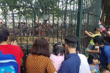 Hà Nội: "Nghẹt thở" chen chân đưa con đi chơi vườn thú Thủ Lệ