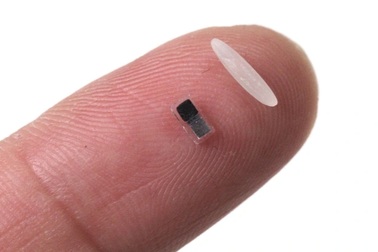 Thiết bị nhỏ như hạt gạo này có thể cứu sống hàng triệu người trên thế giới