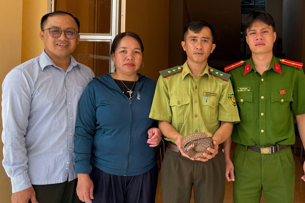 Người phụ nữ phát hiện động vật quý hiếm đi lạc vào khu dân cư - 2
