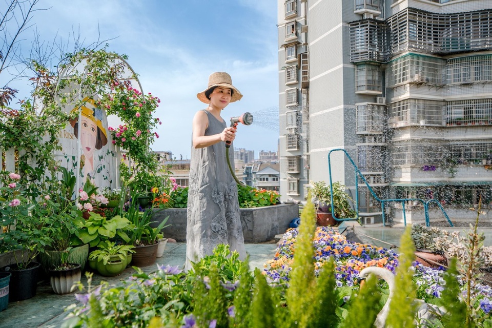 Người phụ nữ biến sân thượng bỏ không thành khu vườn vạn người mê - 4 Người phụ nữ biến sân thượng bỏ không thành khu vườn vạn người mê - 4
