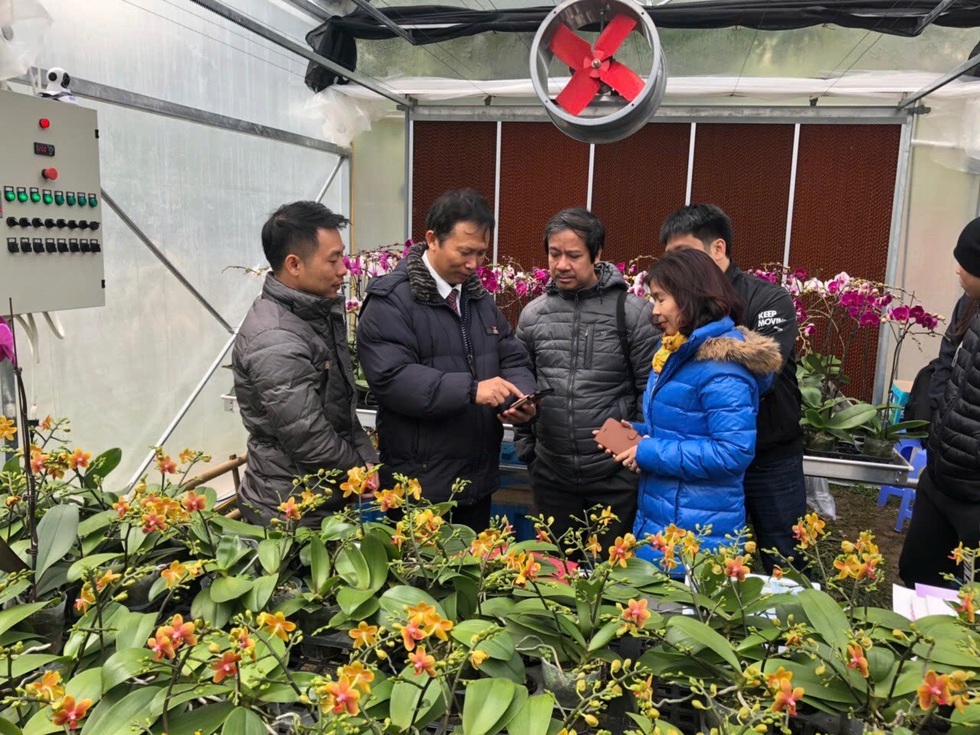 Nhà khoa học đứng sau thành công của cây hoa ở Việt Nam - 4 Nhà khoa học đứng sau thành công của cây hoa ở Việt Nam - 4