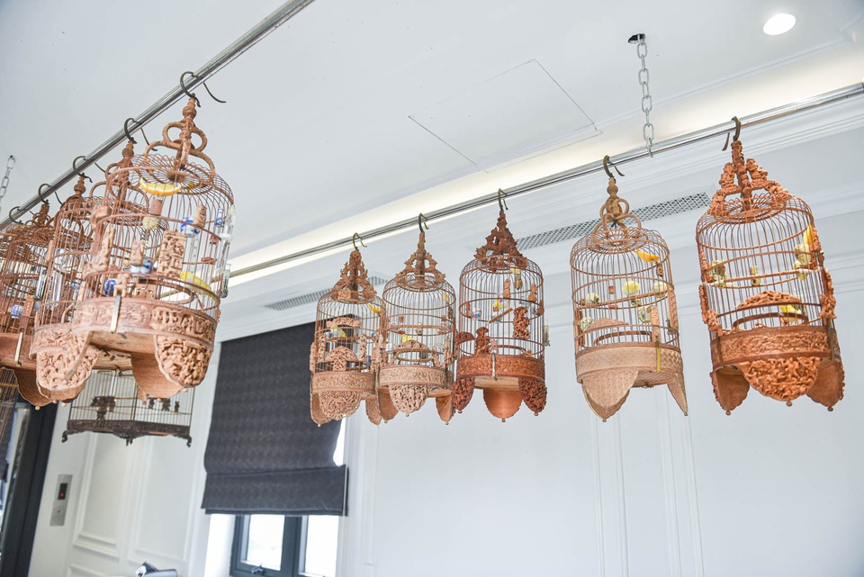 Tay cầm tiền tỷ, đại gia cũng không mua nổi chim ngũ sắc độc nhất Việt Nam - 3