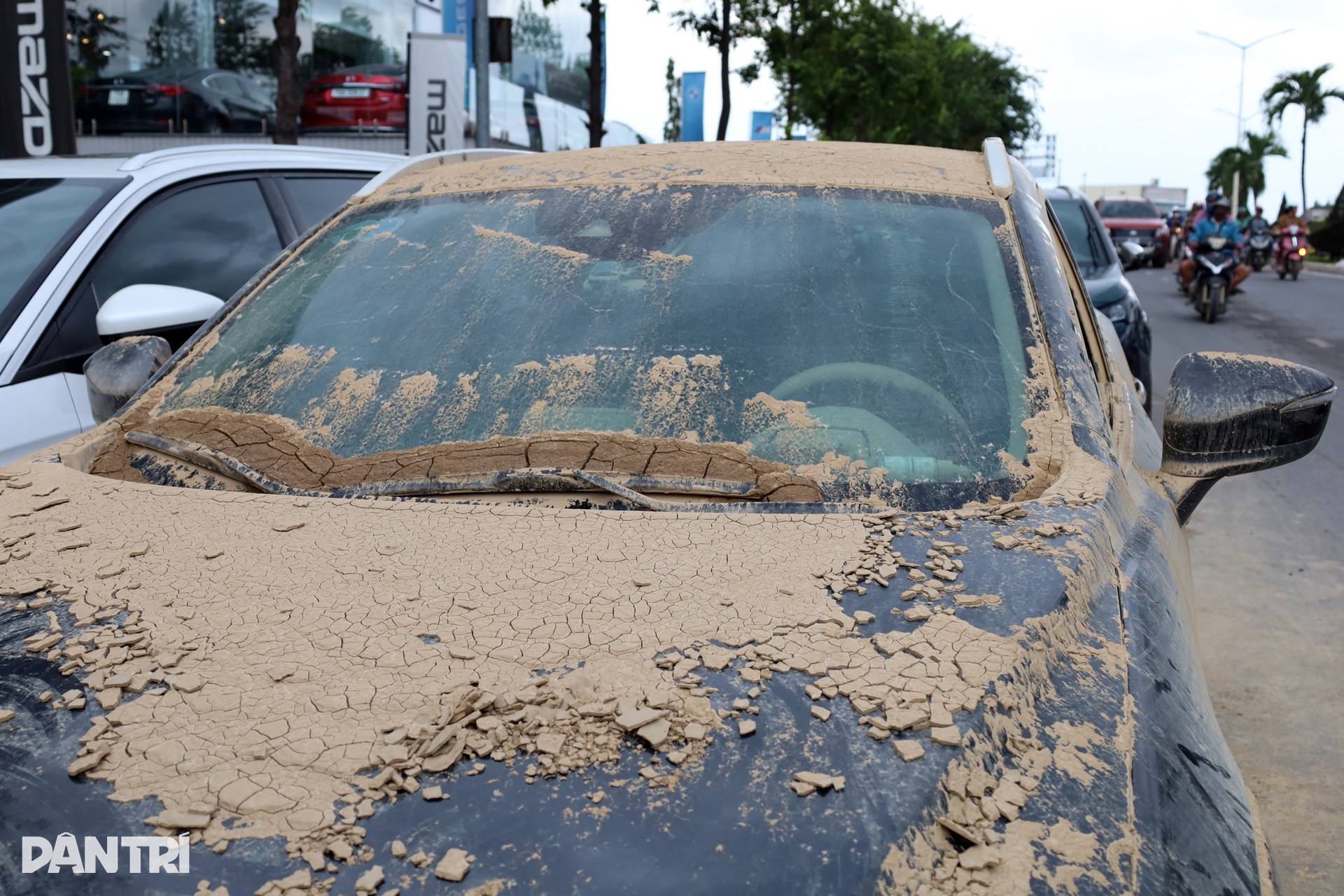 Nha Trang sau lũ: Gara quá tải, ô tô ngập nước la liệt chờ sửa chữa đến Tết - 4 Nha Trang sau lũ: Gara quá tải, ô tô ngập nước la liệt chờ sửa chữa đến Tết - 4