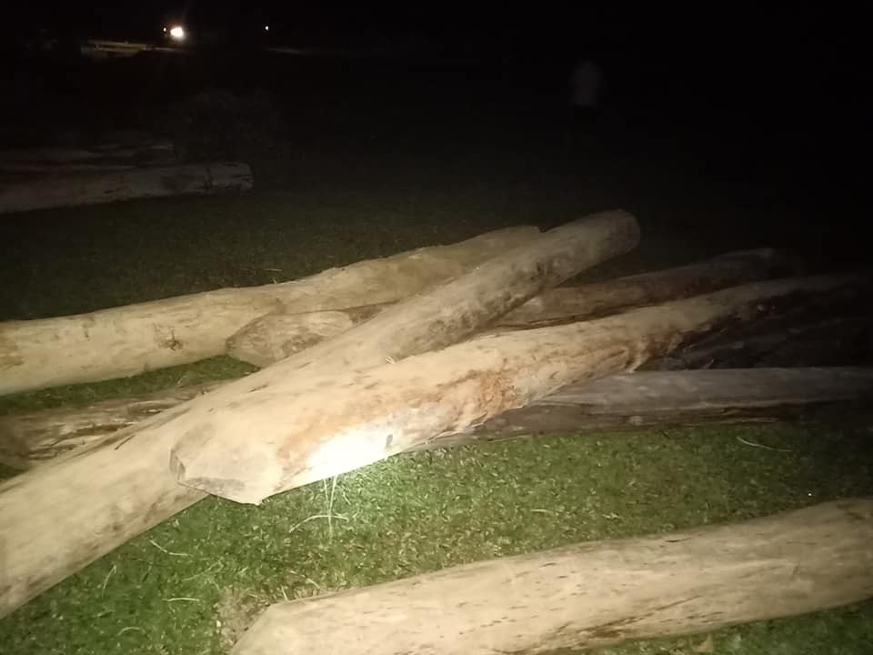 Truy tìm nguồn gốc hàng chục khúc gỗ tập kết tại nghĩa trang - 1 Truy tìm nguồn gốc hàng chục khúc gỗ tập kết tại nghĩa trang - 1