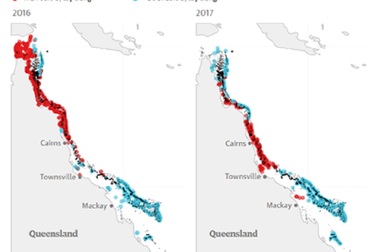Không còn hy vọng phục hồi lại rạn san hô lớn nhất thế giới