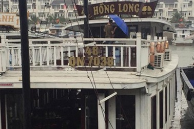 Đình chỉ đội tàu “chặt chém” khách trên Vịnh Hạ Long