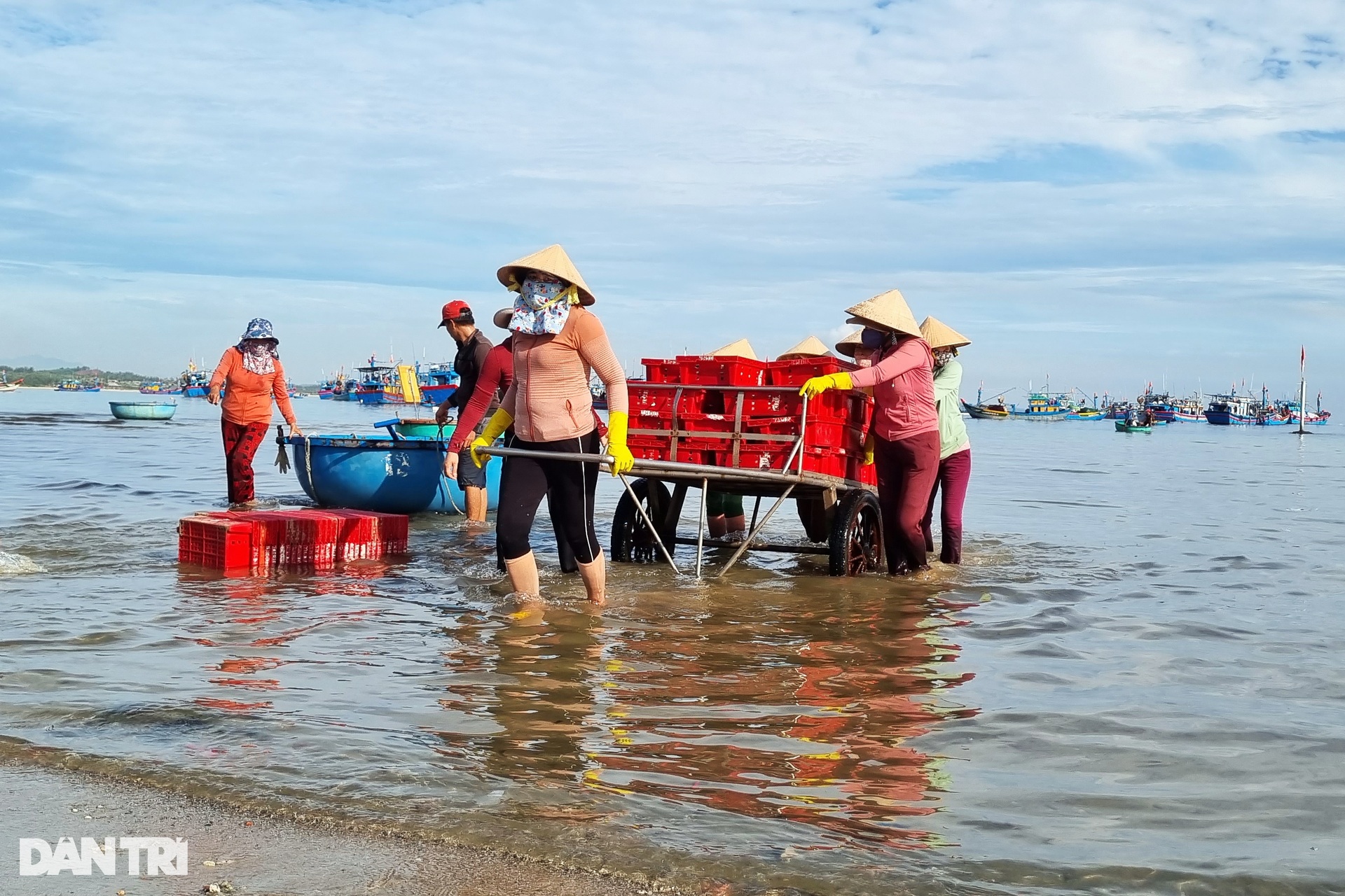 Chợ cá Bình Châu, Bình Sơn, Quảng Ngãi.