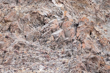 Bức ảnh gây sốt mạng vì người xem căng mắt không tìm ra nổi báo tuyết