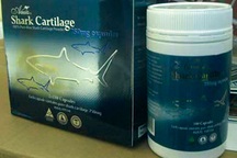 Sữa ong chúa, vi cá mập: thật, giả đều nguy!