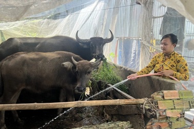 Những mô hình giảm nghèo bền vững tiêu biểu giai đoạn 2012-2025