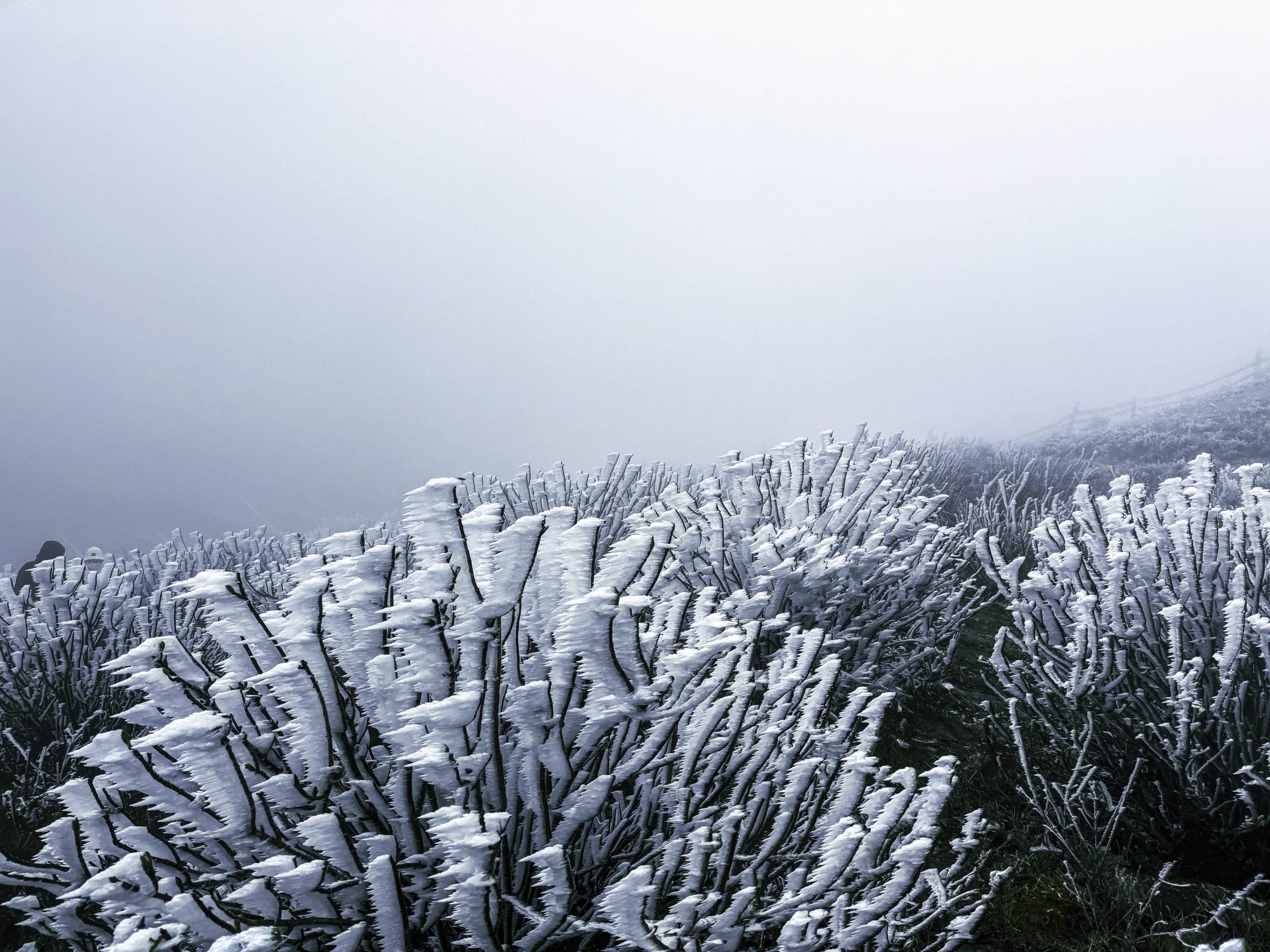 Anak muda menempuh perjalanan ratusan kilometer, mengenakan 5 lapis pakaian untuk berburu es dan salju di Mau Son - 12 Giới trẻ vượt hàng trăm kilomet, mặc 5 lớp áo đi săn băng tuyết ở Mẫu Sơn - 12