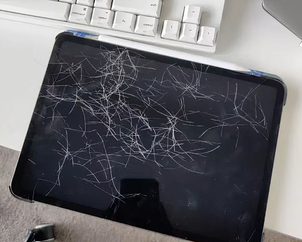 Mèo trở thành “ngôi sao mạng xã hội” vì loạt ảnh “tự sướng” bằng iPad - 1 Mèo trở thành “ngôi sao mạng xã hội” vì loạt ảnh “tự sướng” bằng iPad - 1