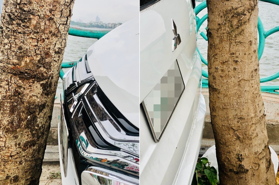 Pha đỗ xe siêu hẹp giữa hai gốc cây khiến cộng đồng mạng dậy sóng - 2 Pha đỗ xe siêu hẹp giữa hai gốc cây khiến cộng đồng mạng dậy sóng - 2